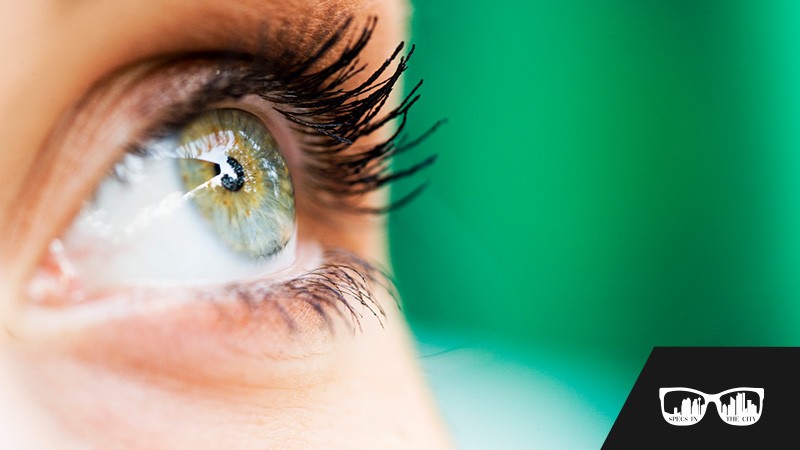 Eye Clinic SE Calgary | Specs in the City Optometry
