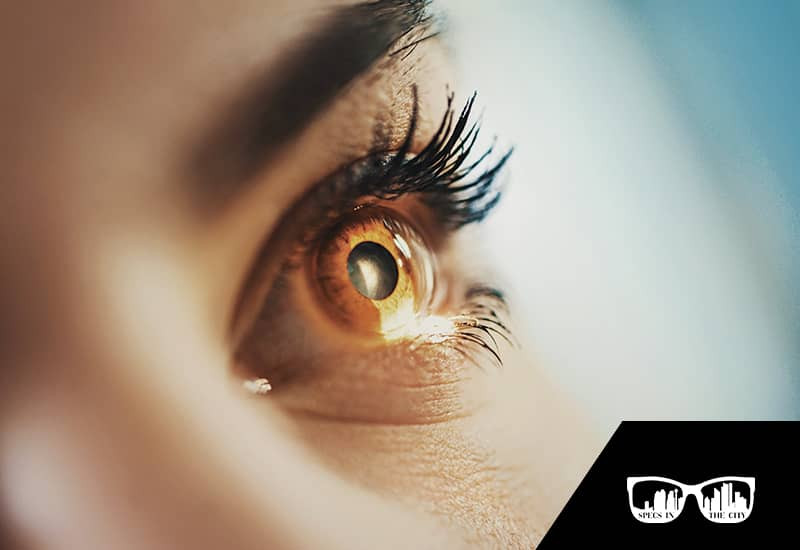 Specs in the City - Blog - Better Eye Health By Reducing Digital Eye Strain